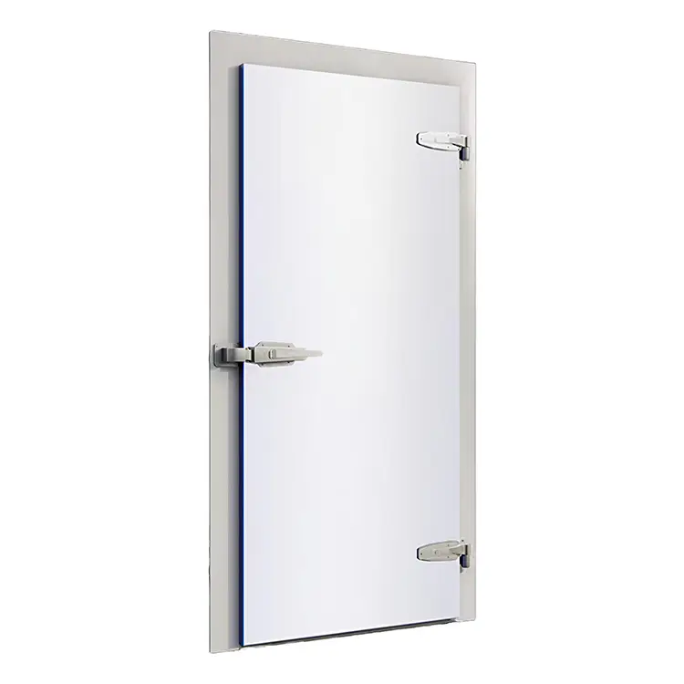Semi Recessed Cold Storage Door